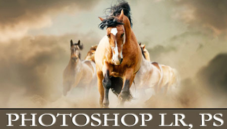 Photoshop Lightroom и PS: обработка на снимки